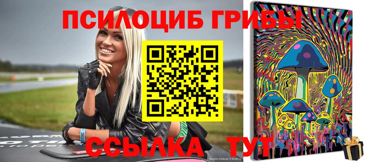 Псилоцибиновые грибы Cubensis Симферополь