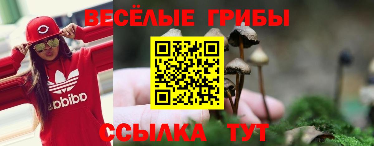 Галлюциногенные грибы прущие грибы  дарнет шоп  Симферополь  Вход с VPN  Псилоцибиновые грибы GOLDEN TEACHER 